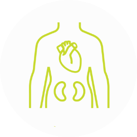 Cardiovascular and Metabolic icon