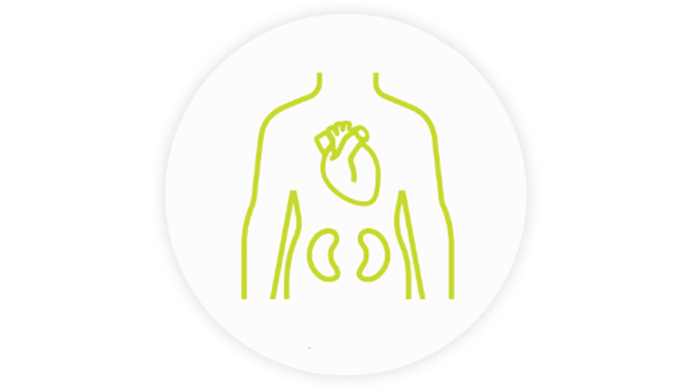 Cardiovascular and Metabolic icon
