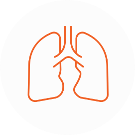 Respiratory icon