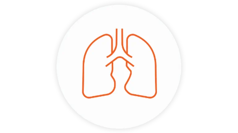 Respiratory icon