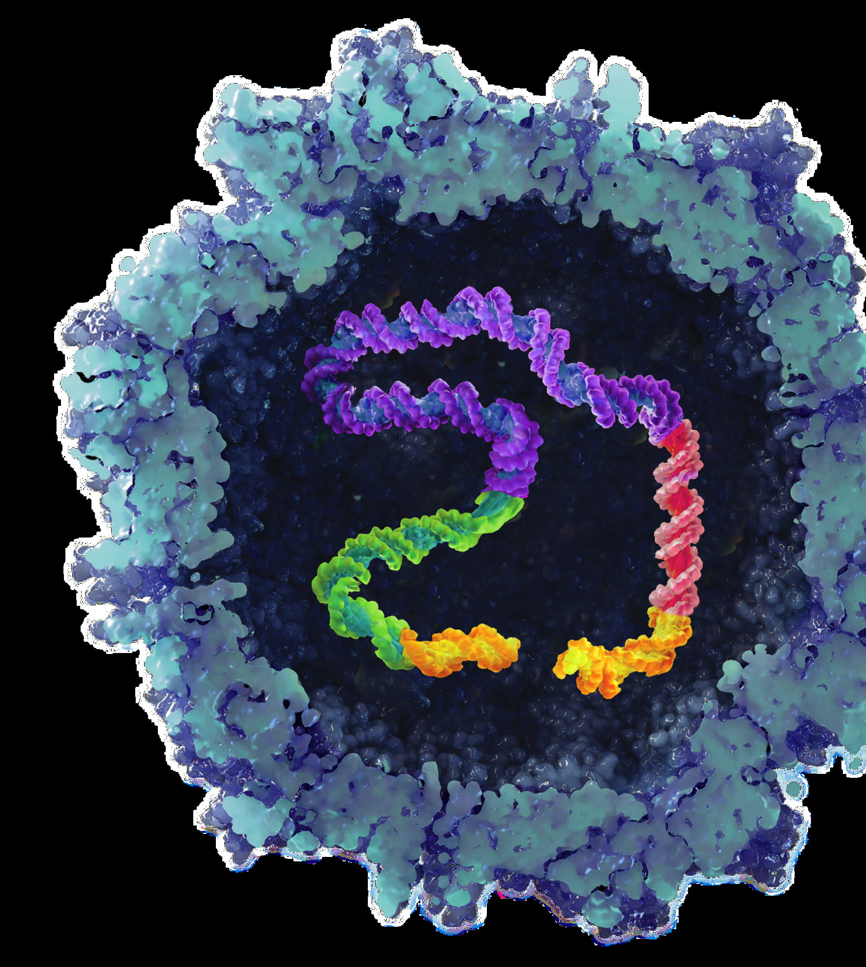 Hematology WFH 2026 Hero