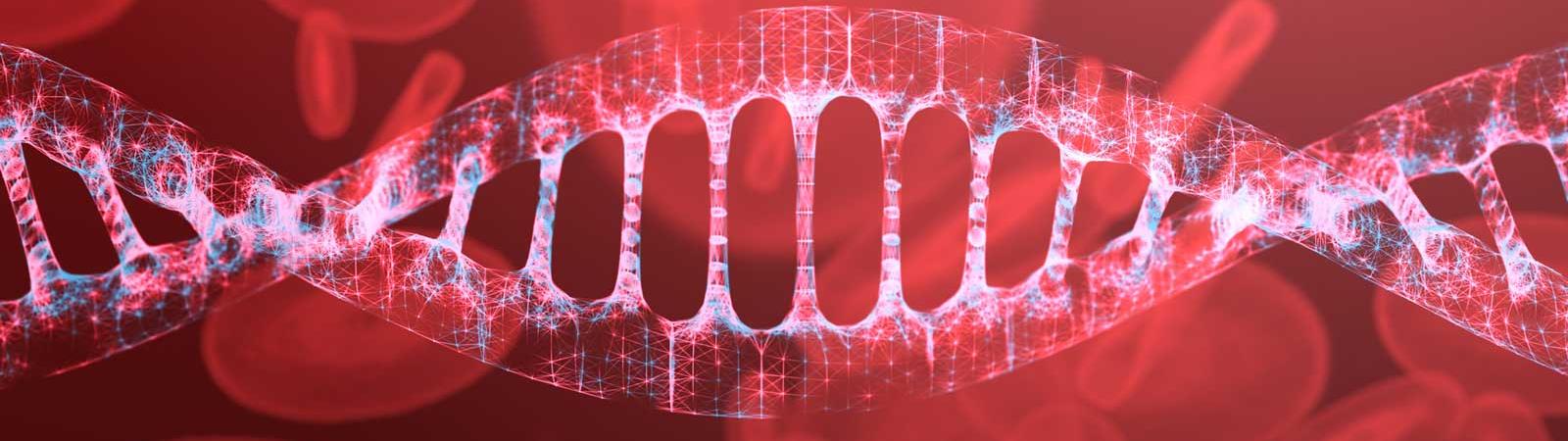 DNA strand